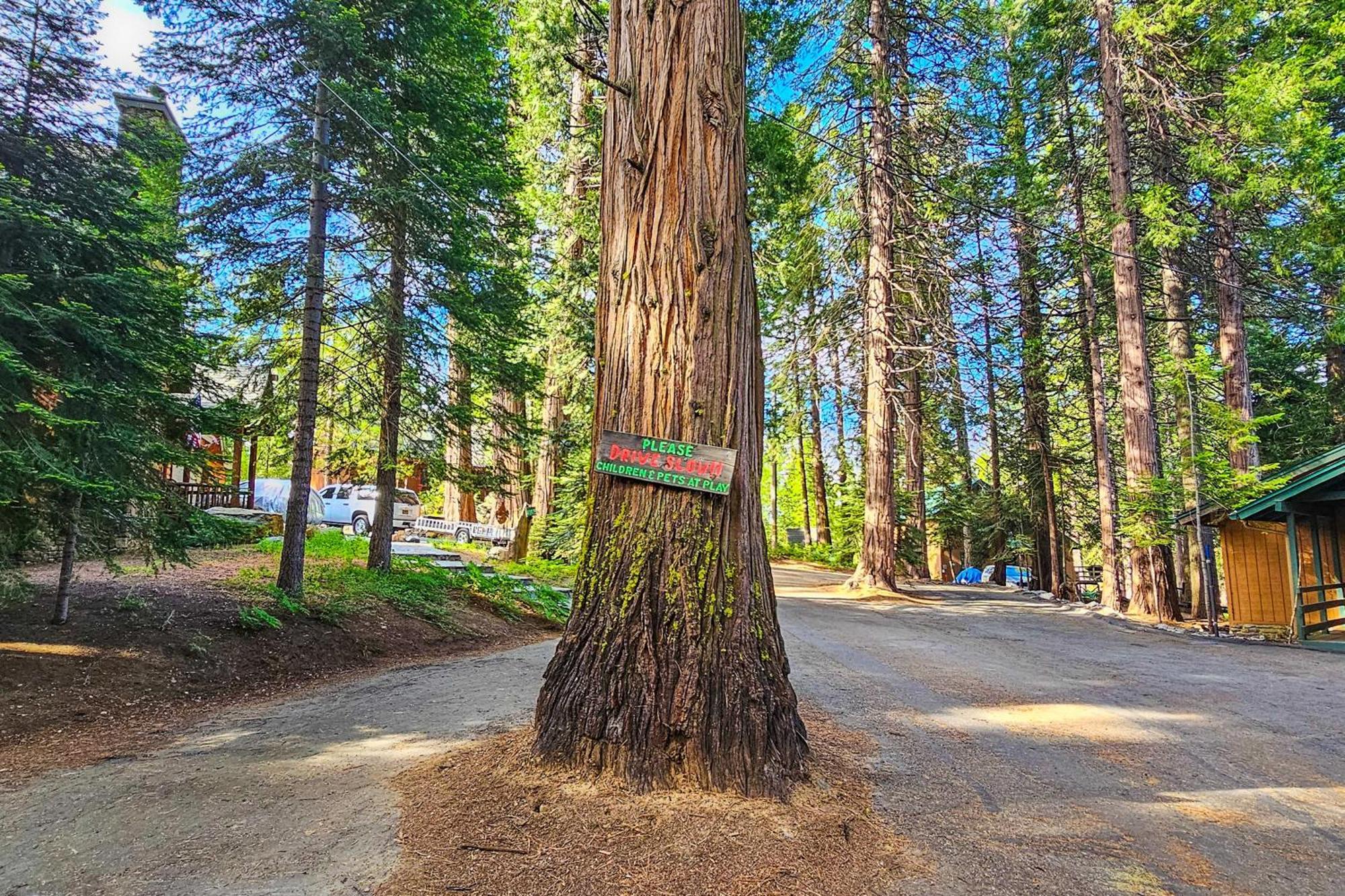 Вилла Water'S Edge Retreat Шейвер Лейк Экстерьер фото