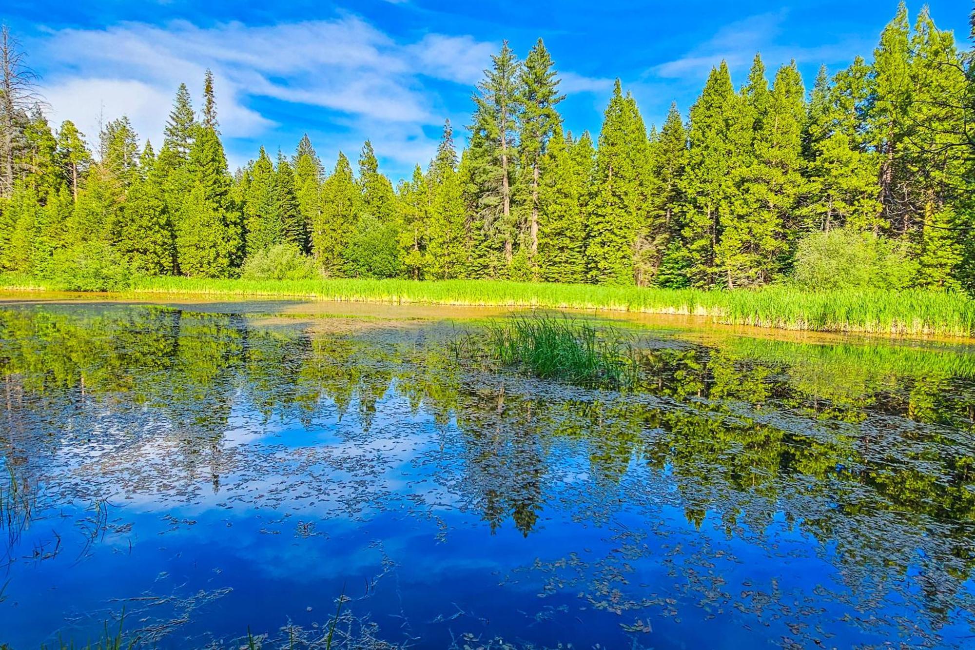 Вилла Water'S Edge Retreat Шейвер Лейк Экстерьер фото